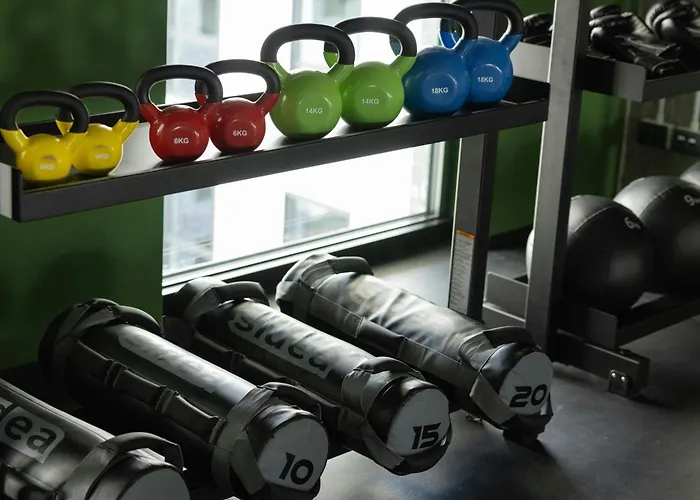 فندق The Social Hub